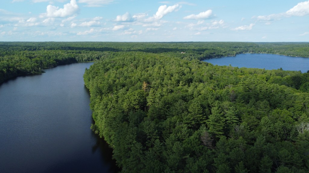 Areal photo of lakes around Meisel House.